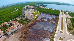 Aerial view of devastated mangrove area (Photo: Noticaribe)