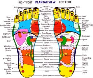 Reflexology: a treatment for the feet that benefits mind and body - The ...