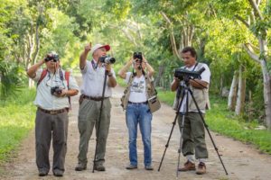 Bird watchers will gather at Calakmul, Campeche Oct. 21-23. (PHOTO: mexicodestinos.com)