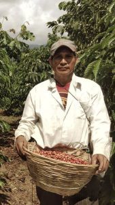 Guatemalan coffee harvester. (PHOTO: Ben Chaplin)