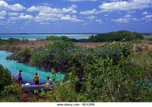 Sian Ka'an Biosphere Reserve. (PHOTO: Alamy Stock)