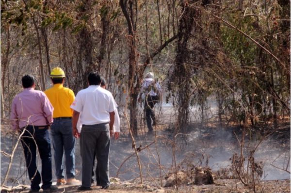 Two days later, fire on Periférico is still smoking - The Yucatan Times