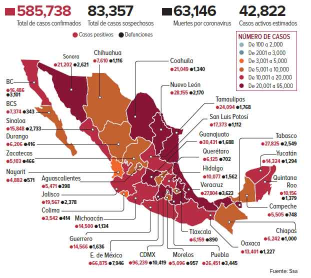 Mexico six months after the first case of infection – 10 states in ...