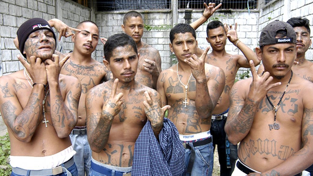 US Border Patrol detains gang members, including MS-13 on the