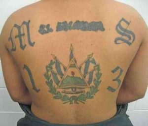 El Salvador’s MS-13 gang members, sex offenders arrested while trying ...