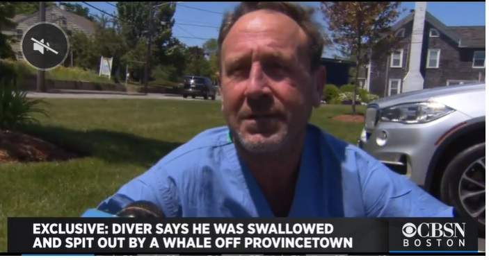 man swallowed by whale