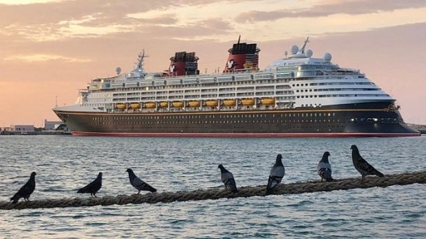 disney cruise new orleans to cozumel