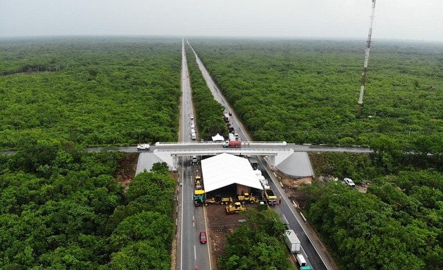 Yucatan judge orders to suspend the works of the Maya Train Project’s ...