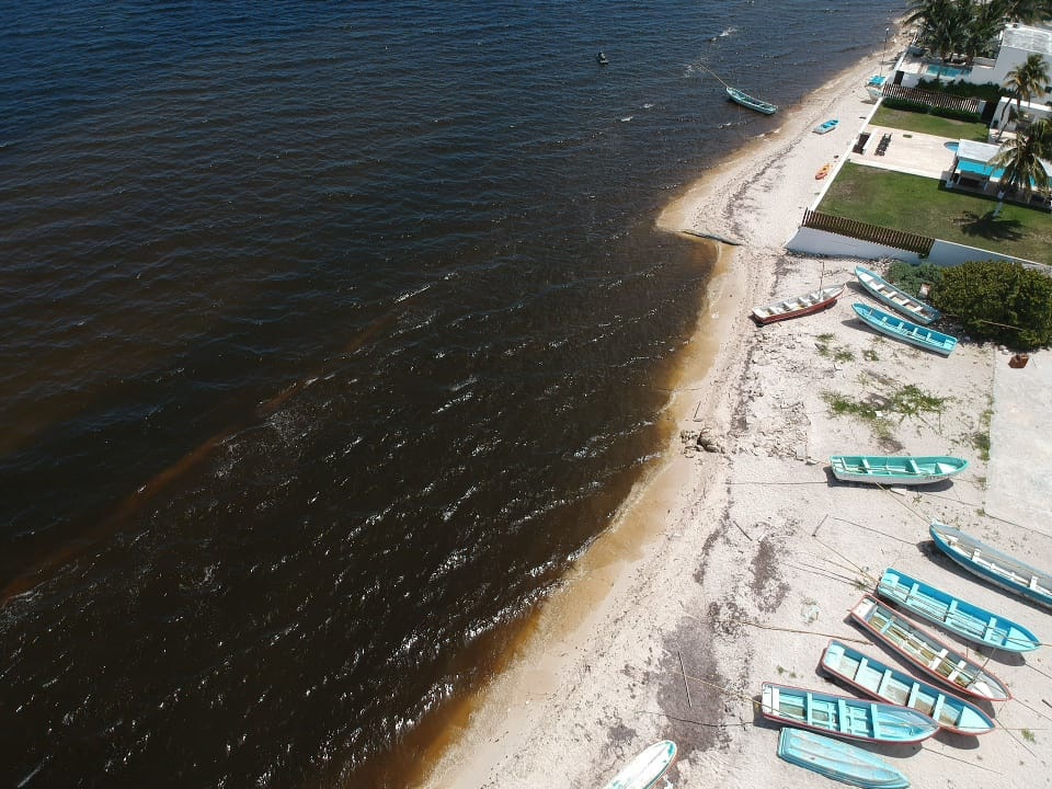 Local fishermen say the red tide “stain” is at least 15 kilometers wide