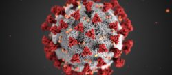 structure of a coronavirus